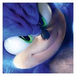 SN189 SONIC ROSTO_25x25.jpg